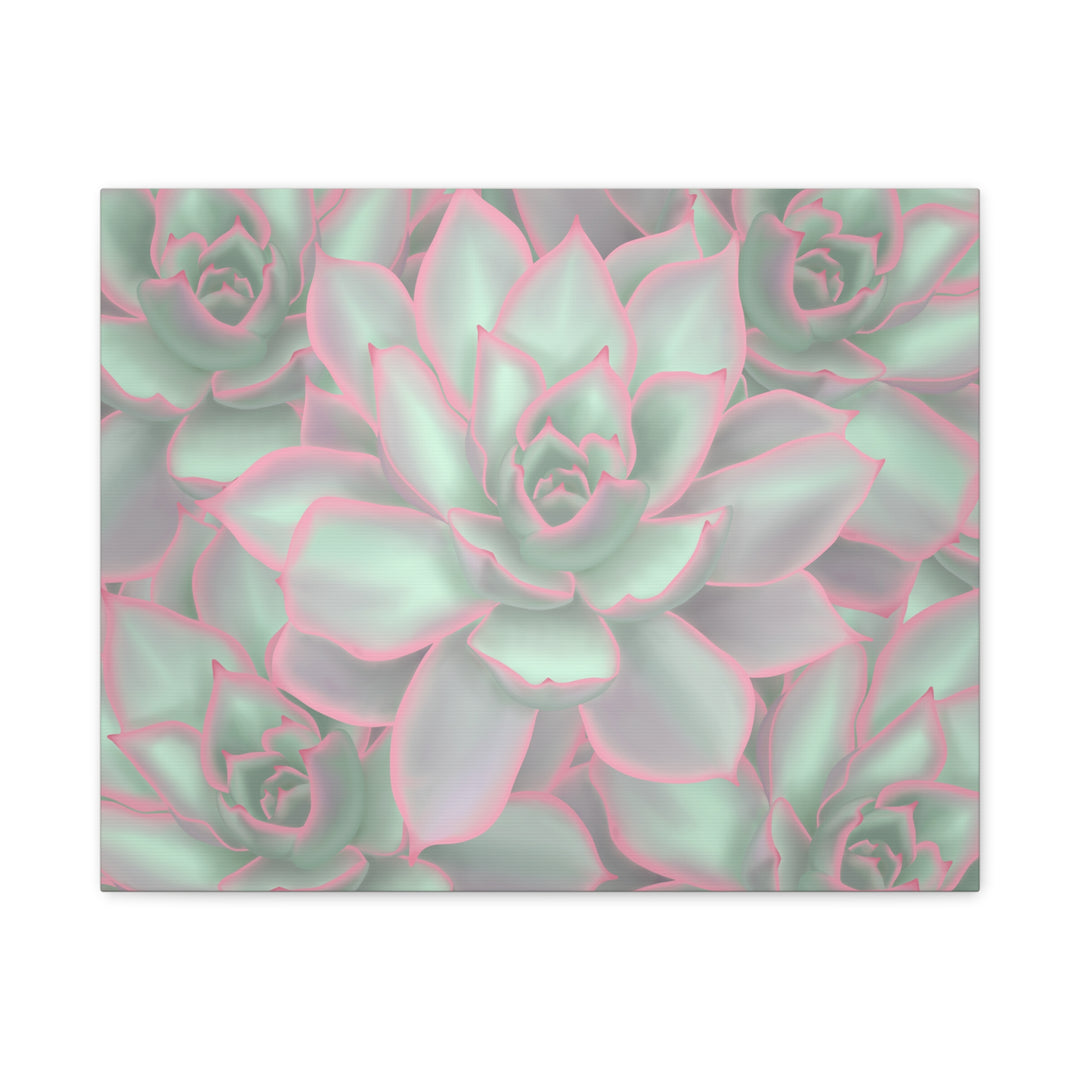 Echeveria Violet Queen Canvas Wall Art Succulent Print Matte Botanical Decor For Indoor Spaces