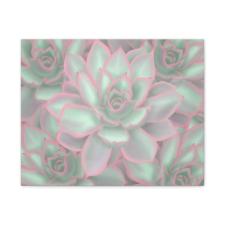 Echeveria Violet Queen Canvas Wall Art Succulent Print Matte Botanical Decor For Indoor Spaces