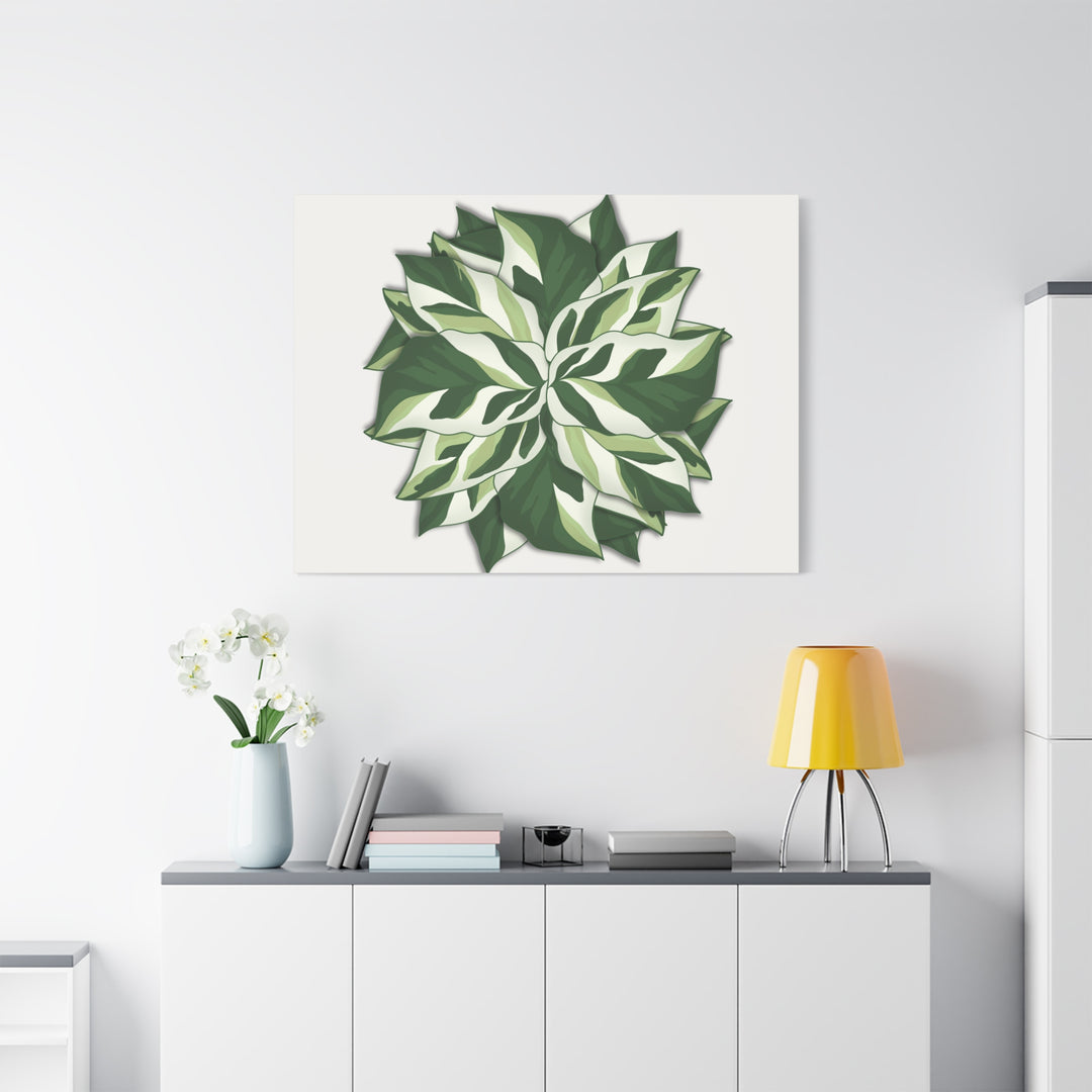 Calathea White Fusion Canvas Botanical Art Print On Stretched Cotton Canvas For Indoor Wall Decor
