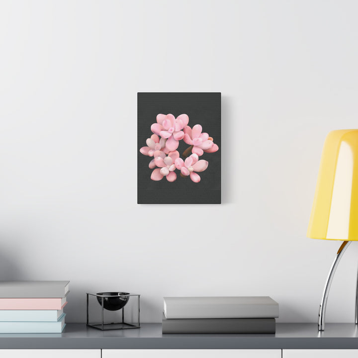 Pink Moonstone Canvas Print – Botanical Wall Art