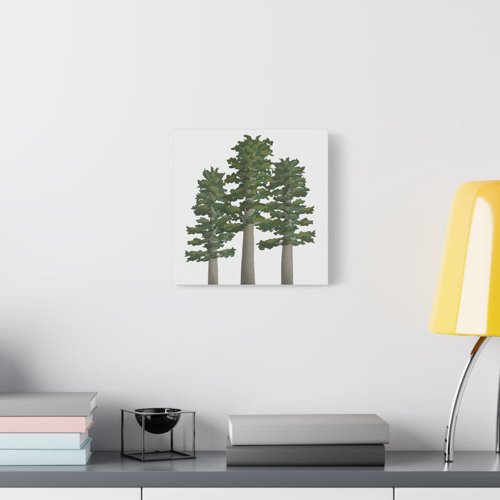Sitka Spruce Canvas Print – Wall Art