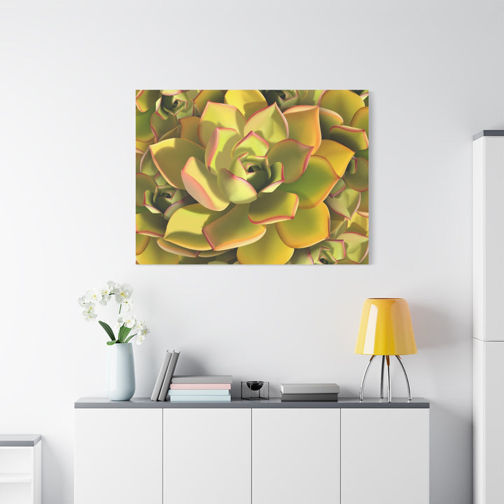 Succulent Canvas Art Vibrant Aeonium Print On Matte Canvas Wall Decor 12x18 Inches Indoor Home