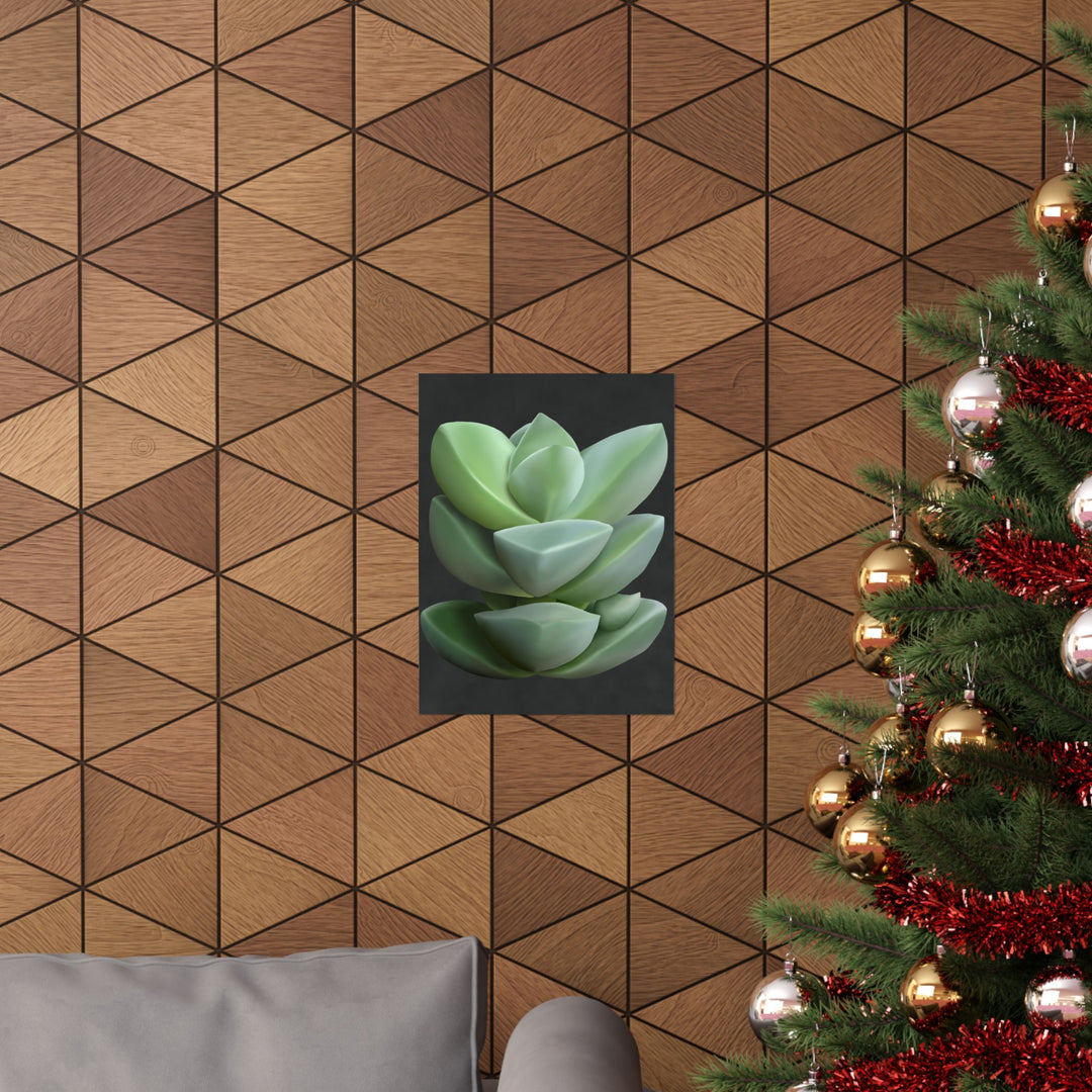 Crassula Botanical Print – Unframed Wall Art