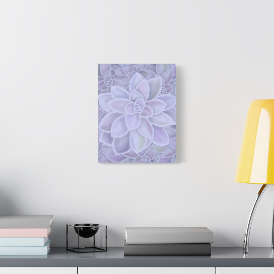 Graptopetalum Murasaki Succulent Canvas Art Print Pastel Purple Rosette Indoor Plant Decor