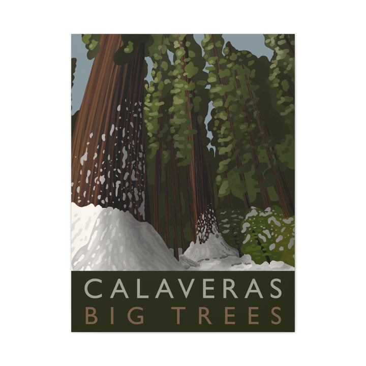 Calaveras Big Trees Canvas Print – Wall Art