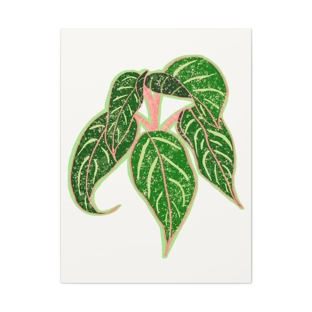 Aglaonema Sparkling Sarah Botanical Canvas Print On Matte Stretch Canvas For Modern Living Room Decor