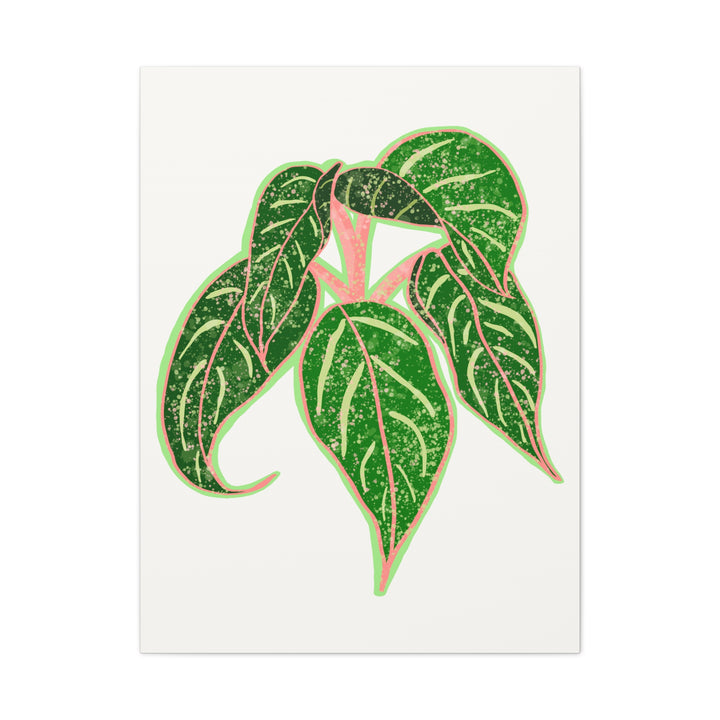 Aglaonema Sparkling Sarah Botanical Canvas Print On Matte Stretch Canvas For Modern Living Room Decor