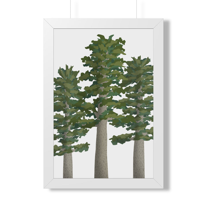 Sitka Spruce Framed Print – Wall Art