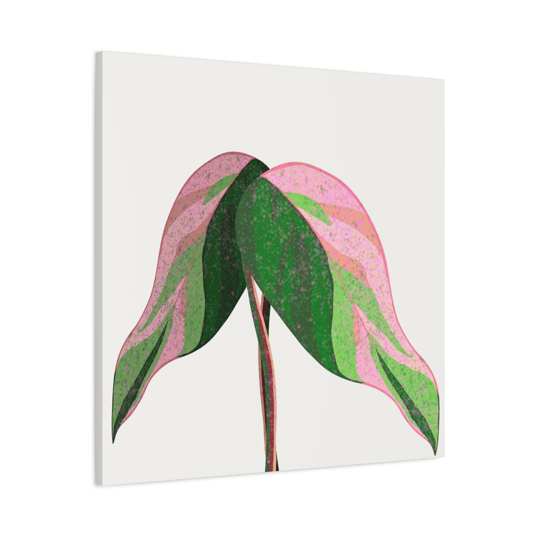Pink Princess Philodendron Canvas Print Botanical Wall Art For Indoor Decor Modern Living Room Poster