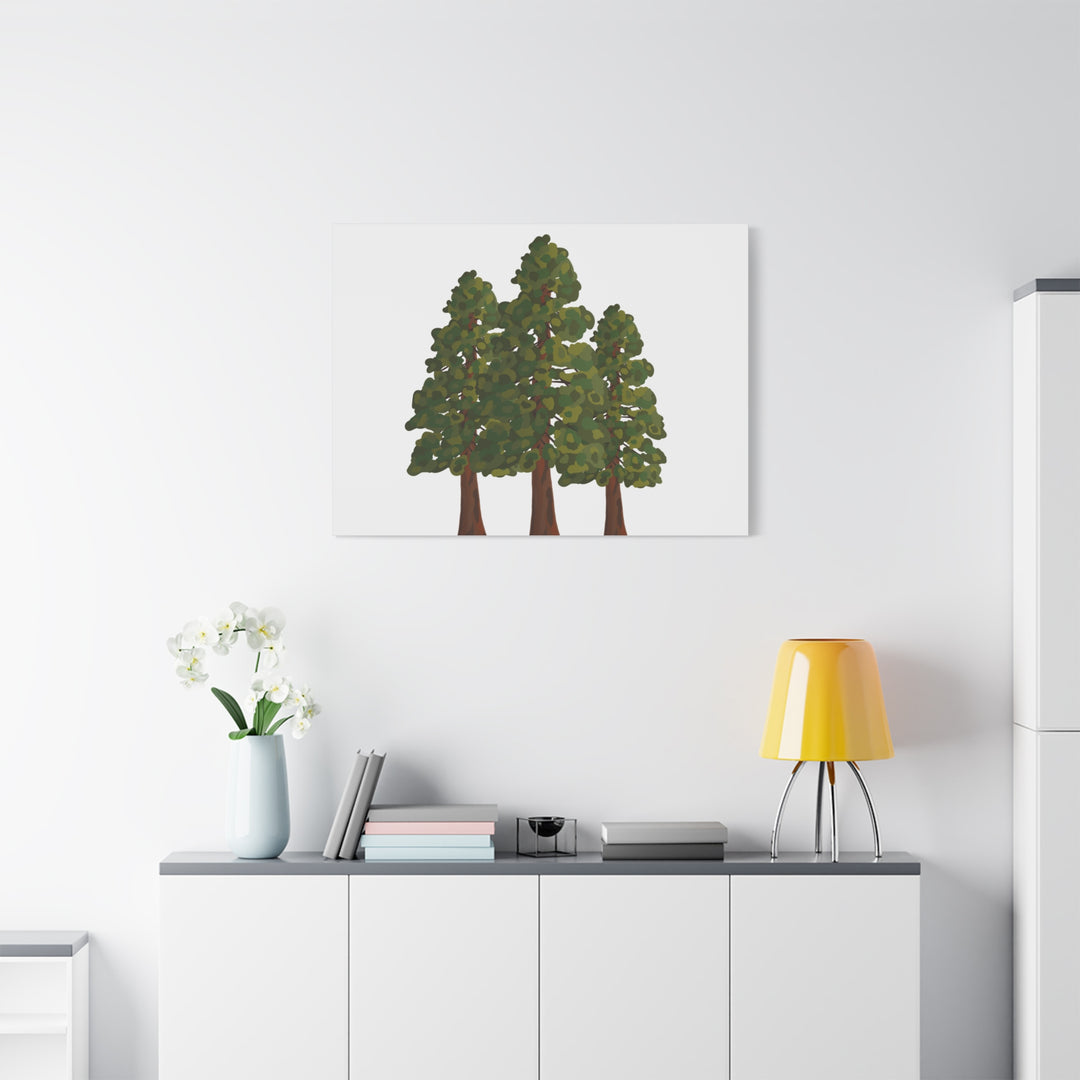 Coastal Redwoods Matte Canvas Print On 1.25 Inch Stretched Canvas For Serene Forest Wall Art In Living Rooms