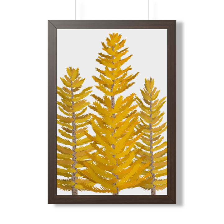 Western Larch Framed Print – Wall Art