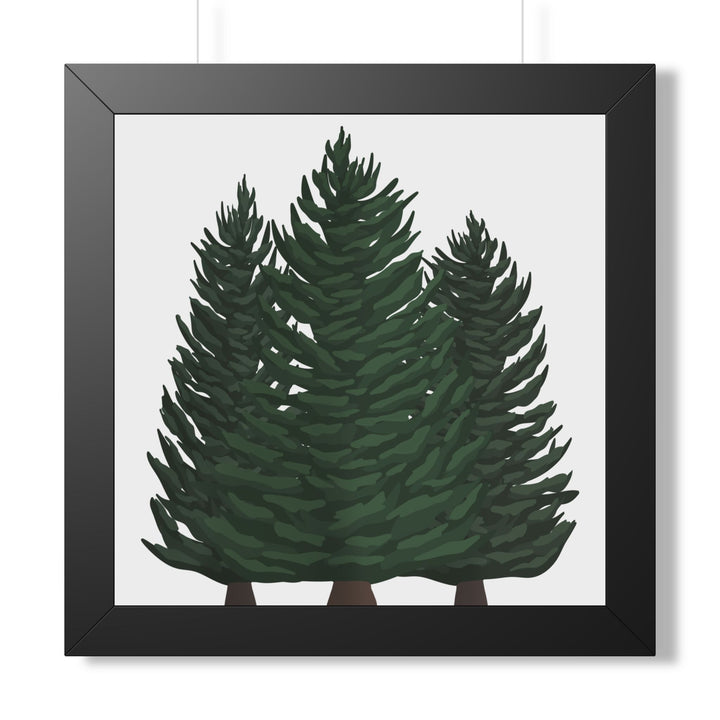 Douglas Fir Framed Print – Wall Art