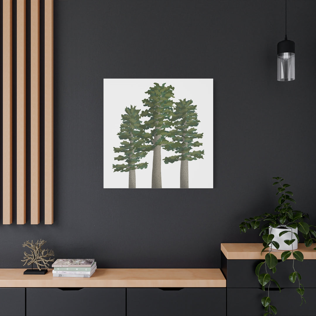 Sitka Spruce Canvas Print – Wall Art