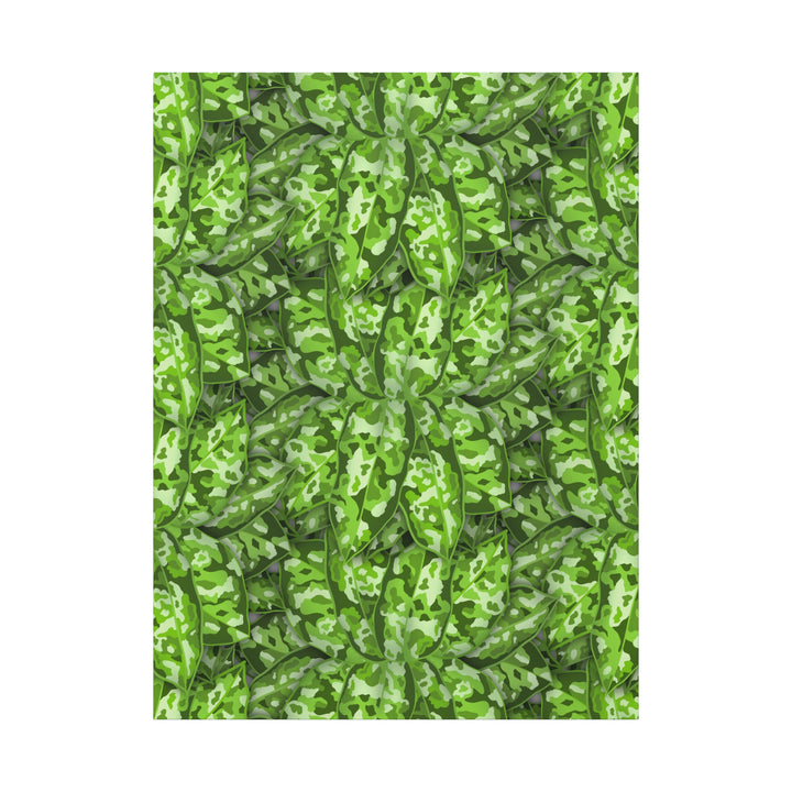 Aglaonema Pictum Canvas Wall Art Rare Plant Print Matte Finish For Modern Home Decor