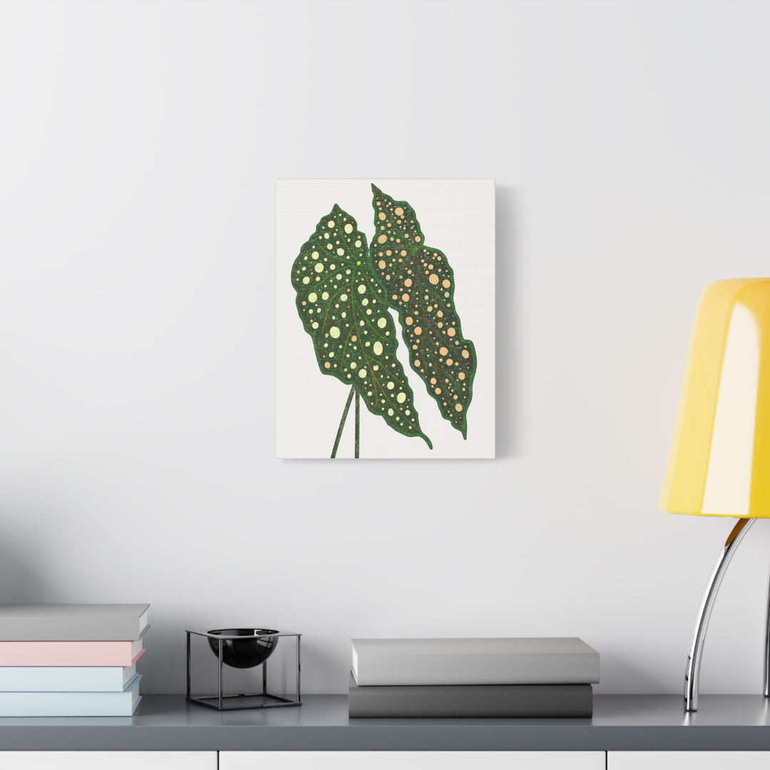 Begonia Maculata Canvas Premium Botanical Wall Art Print On Cotton Canvas With Matte Finish For Indoor Decor