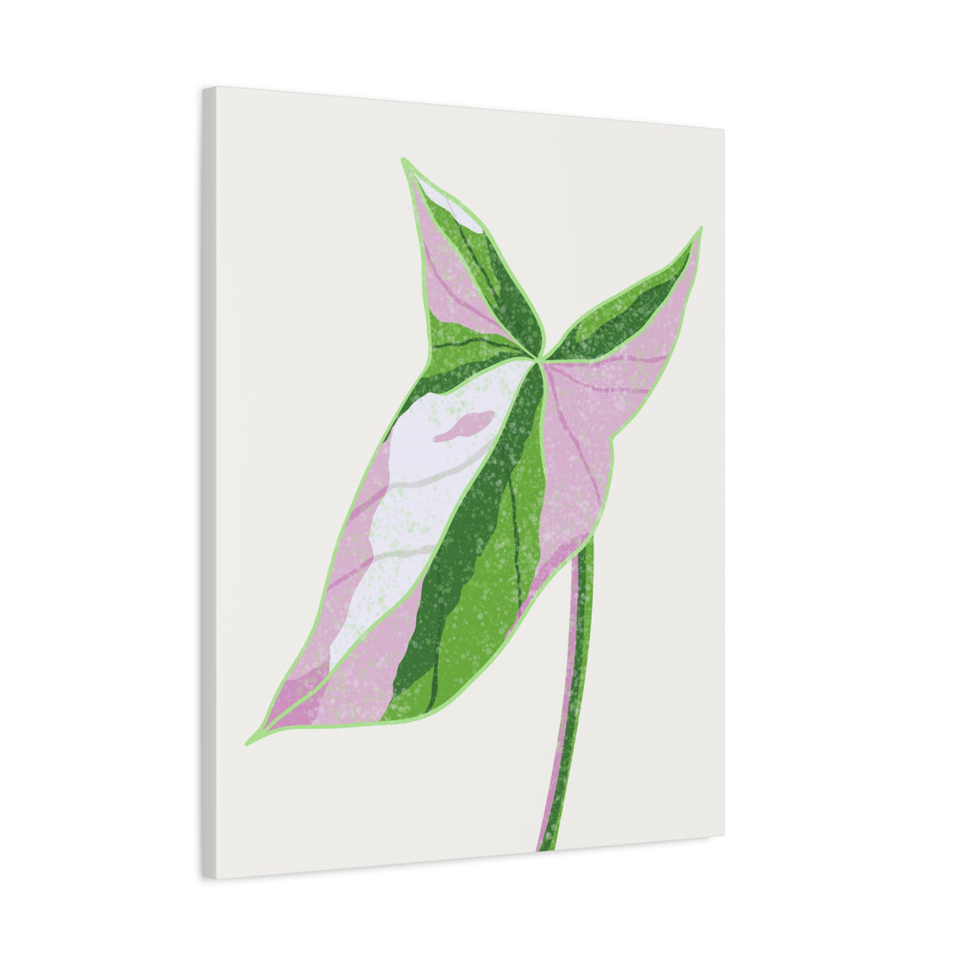 Syngonium Tricolor Canvas Print – Botanical Wall Art - The Potted Pixel