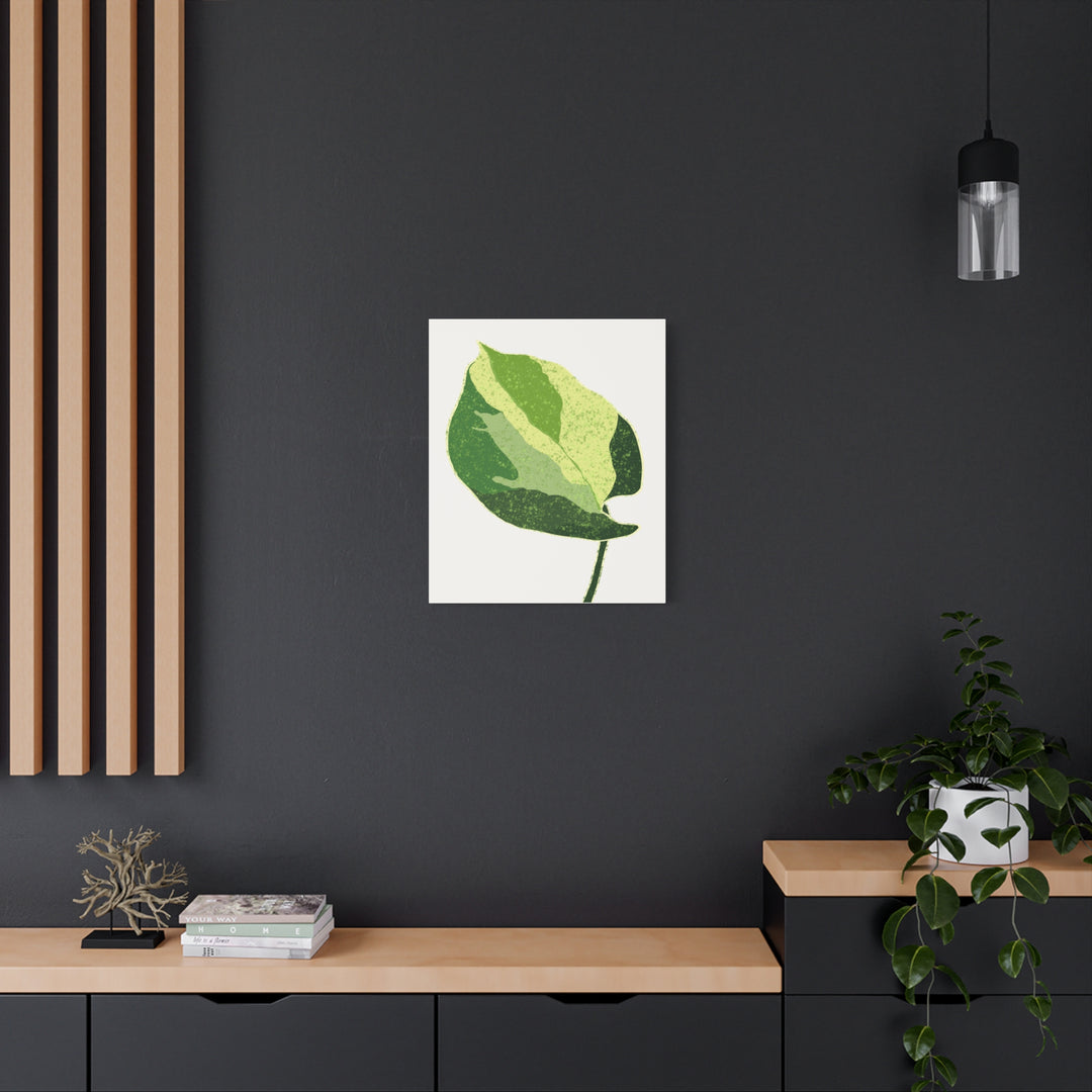 Manjula Pothos Botanical Canvas Print Matte Finish Stretched Canvas Wall Art 1.25 Inch Depth