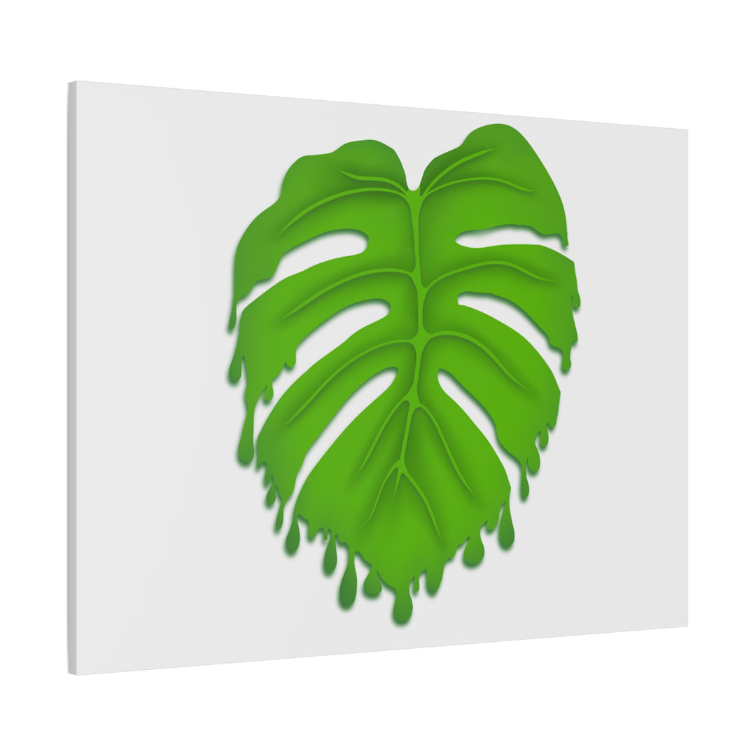 Melting Monstera Canvas Wall Art Large Botanical Print On Premium Cotton With Matte Finish For Indoor Decor