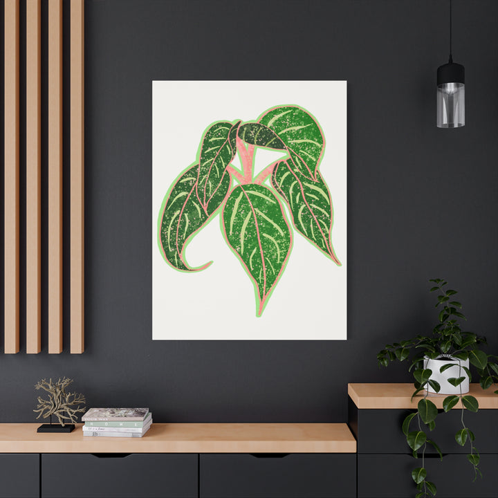 Aglaonema Sparkling Sarah Botanical Canvas Print On Matte Stretch Canvas For Modern Living Room Decor