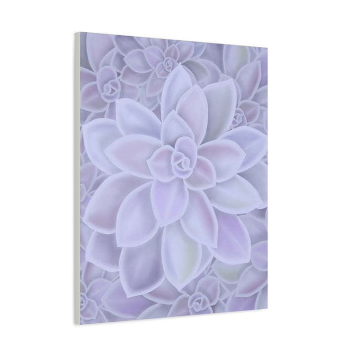Graptopetalum Murasaki Succulent Canvas Art Print Pastel Purple Rosette Indoor Plant Decor