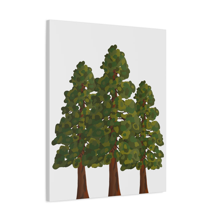 Coastal Redwoods Matte Canvas Print On 1.25 Inch Stretched Canvas For Serene Forest Wall Art In Living Rooms