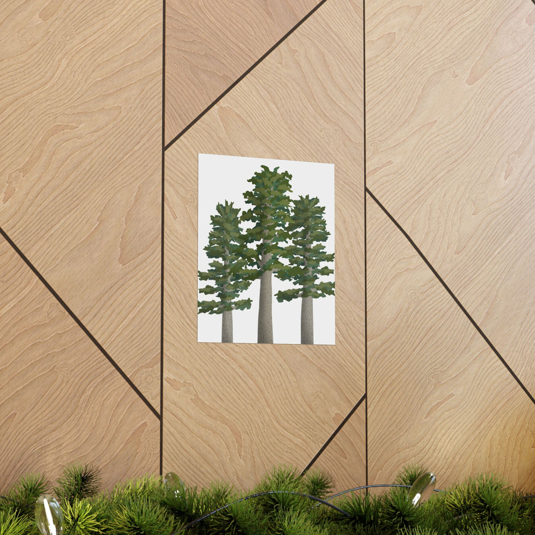 Sitka Spruce Print – Unframed Wall Art