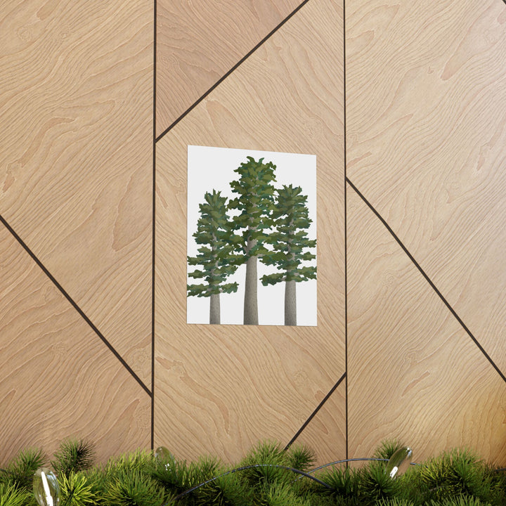 Sitka Spruce Print – Unframed Wall Art