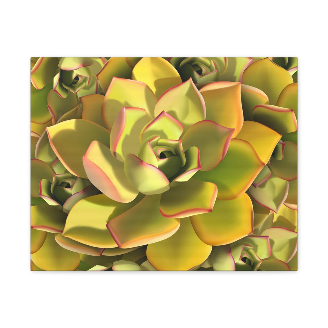 Succulent Canvas Art Vibrant Aeonium Print On Matte Canvas Wall Decor 12x18 Inches Indoor Home
