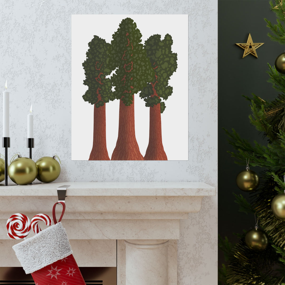 Giant Sequoias Print – Unframed Wall Art