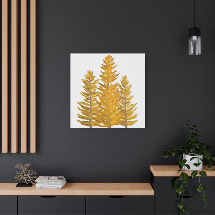 Western Larch Canvas Print – Wall Art