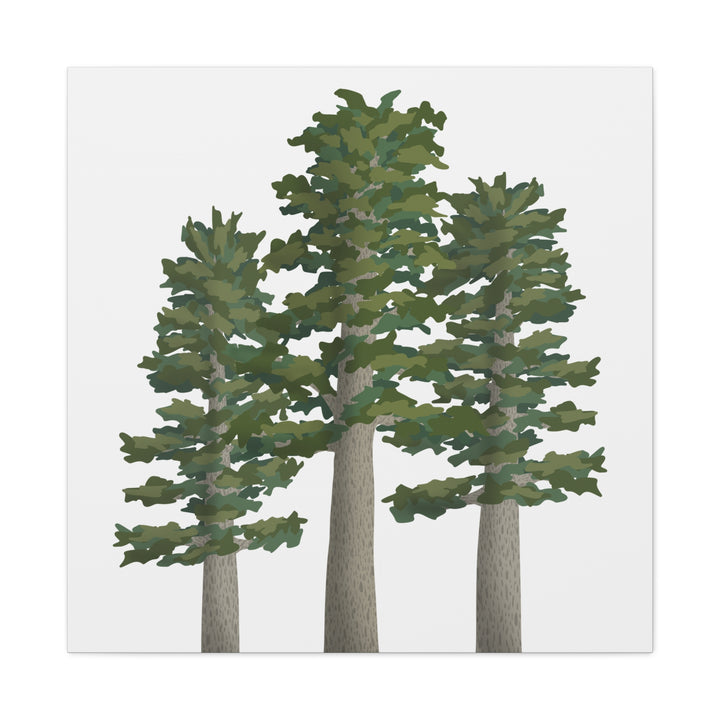 Sitka Spruce Canvas Print – Wall Art