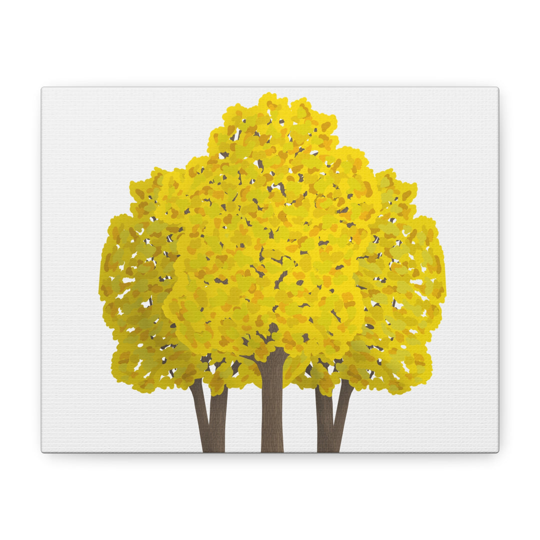 Big Leaf Maple Canvas Print – Wall Art