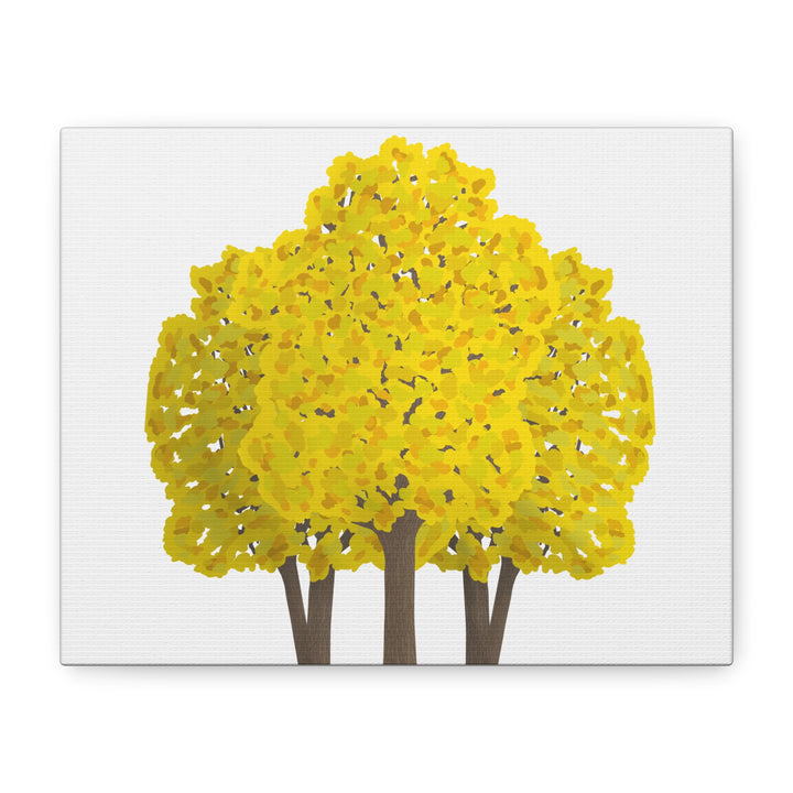 Big Leaf Maple Canvas Print – Wall Art