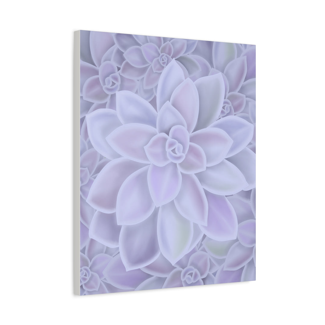 Graptopetalum Murasaki Succulent Canvas Art Print Pastel Purple Rosette Indoor Plant Decor