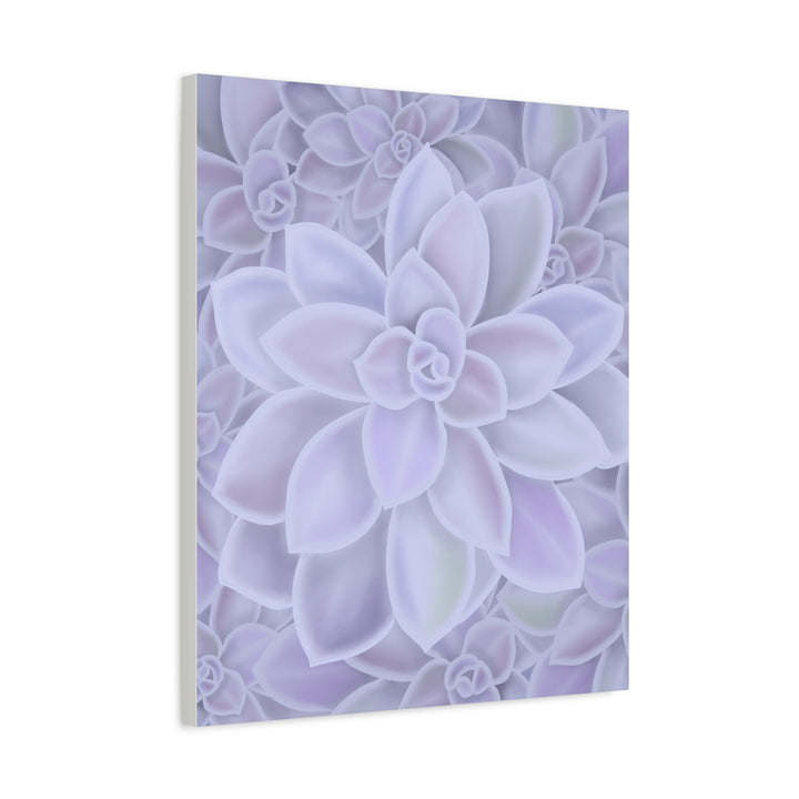 Graptopetalum Murasaki Succulent Canvas Art Print Pastel Purple Rosette Indoor Plant Decor