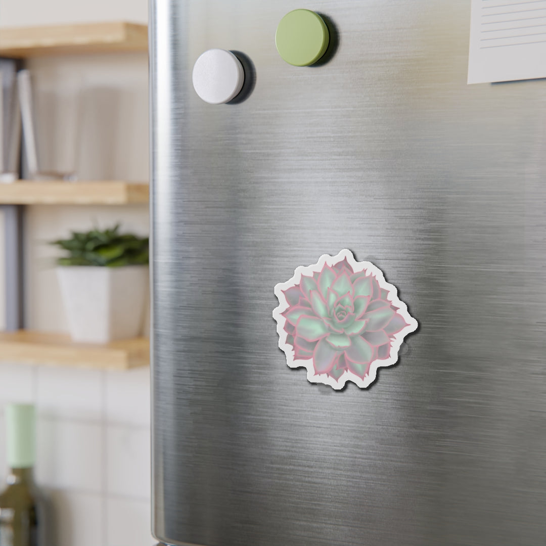 Echeveria Violet Queen Succulent Magnet