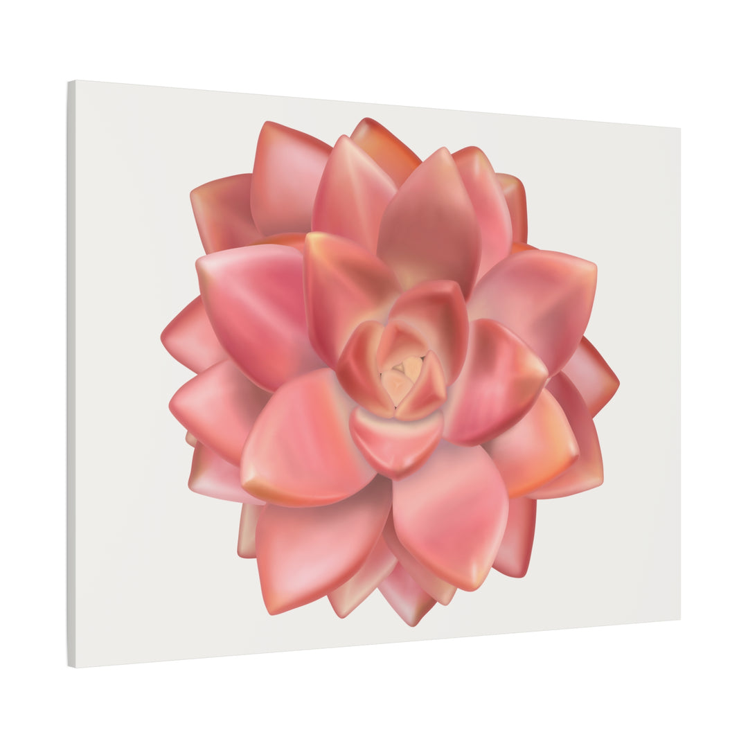 Succulent Canvas Art California Sunset Rosette Botanical Wall Art Print The Potted Pixel