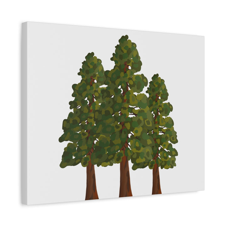 Coastal Redwoods Matte Canvas Print On 1.25 Inch Stretched Canvas For Serene Forest Wall Art In Living Rooms
