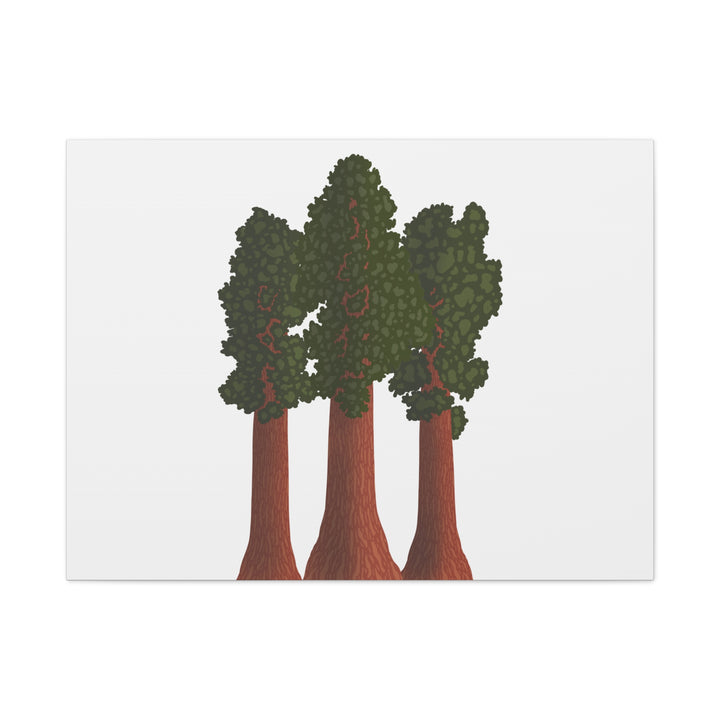 Giant Sequoias Canvas Print – Wall Art