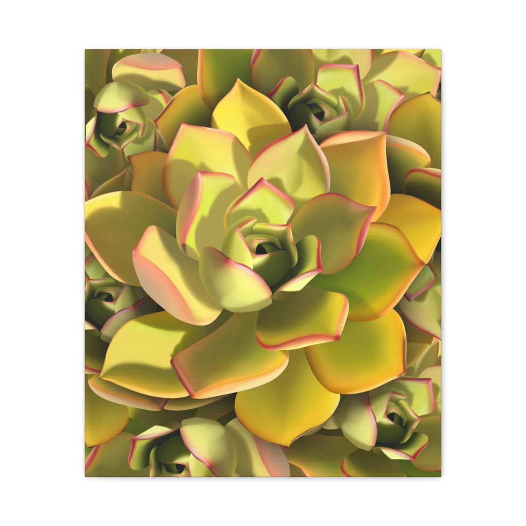 Succulent Canvas Art Vibrant Aeonium Print On Matte Canvas Wall Decor 12x18 Inches Indoor Home
