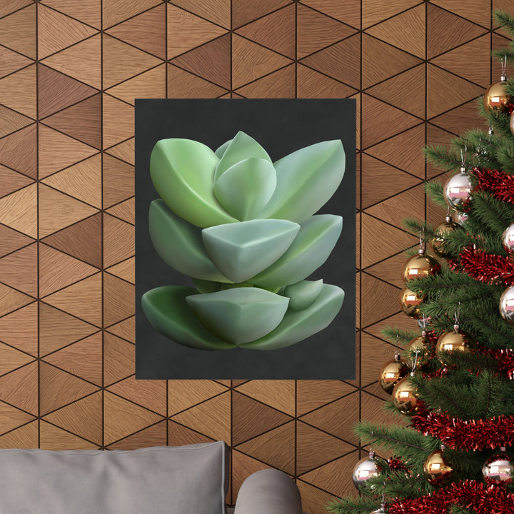 Crassula Botanical Print – Unframed Wall Art