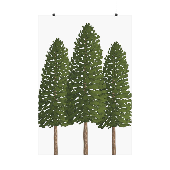 POS Ponderosa Pine Print – Unframed Wall Art
