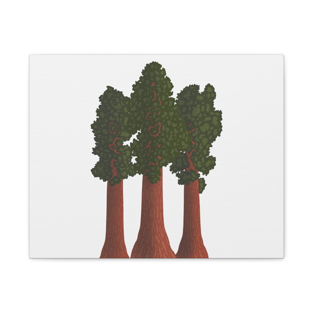 Giant Sequoias Canvas Print – Wall Art