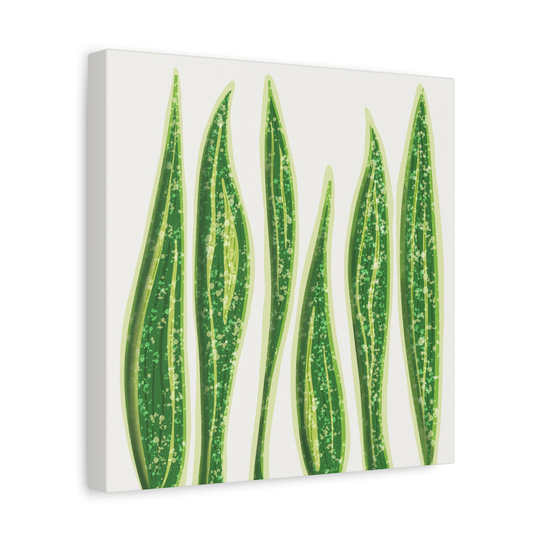 Snake Plant Canvas Print Matte 1.25 Inch Stretch Canvas Wall Art For Living Room Decor