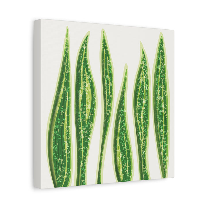 Snake Plant Canvas Print Matte 1.25 Inch Stretch Canvas Wall Art For Living Room Decor