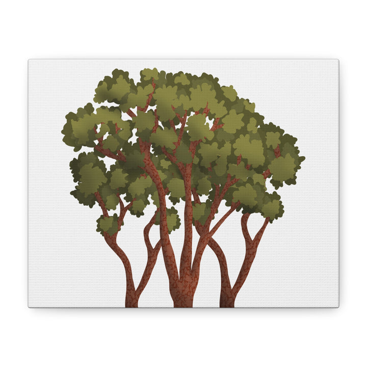 Pacific Madrone Canvas Print – Wall Art