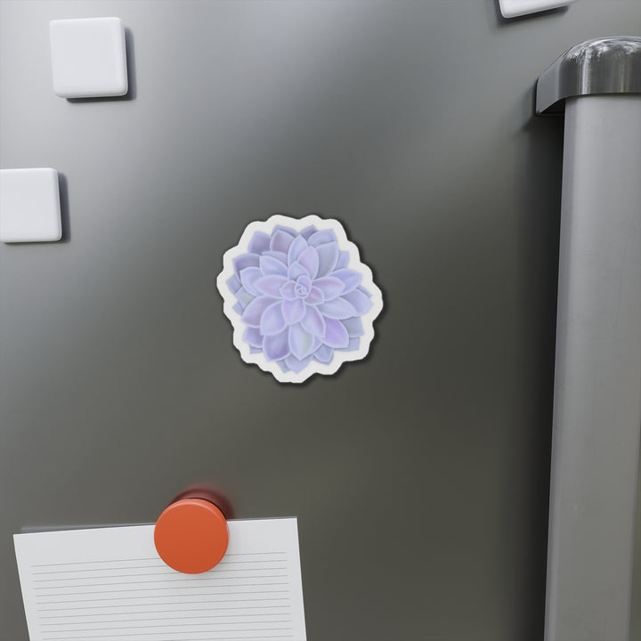 Graptopetalum Murasaki Succulent Magnet