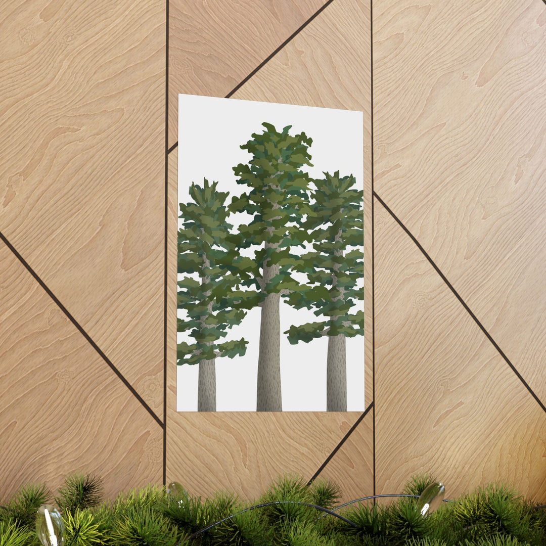 Sitka Spruce Print – Unframed Wall Art