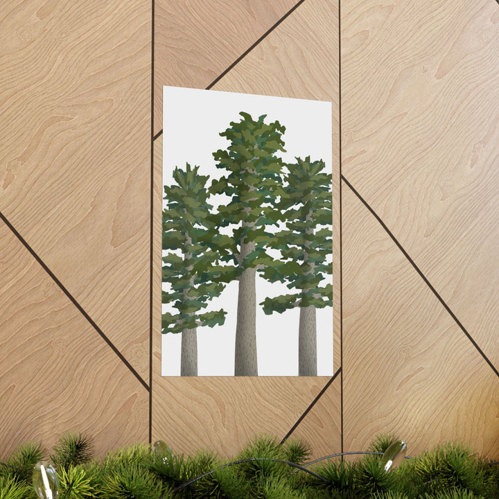 Sitka Spruce Print – Unframed Wall Art