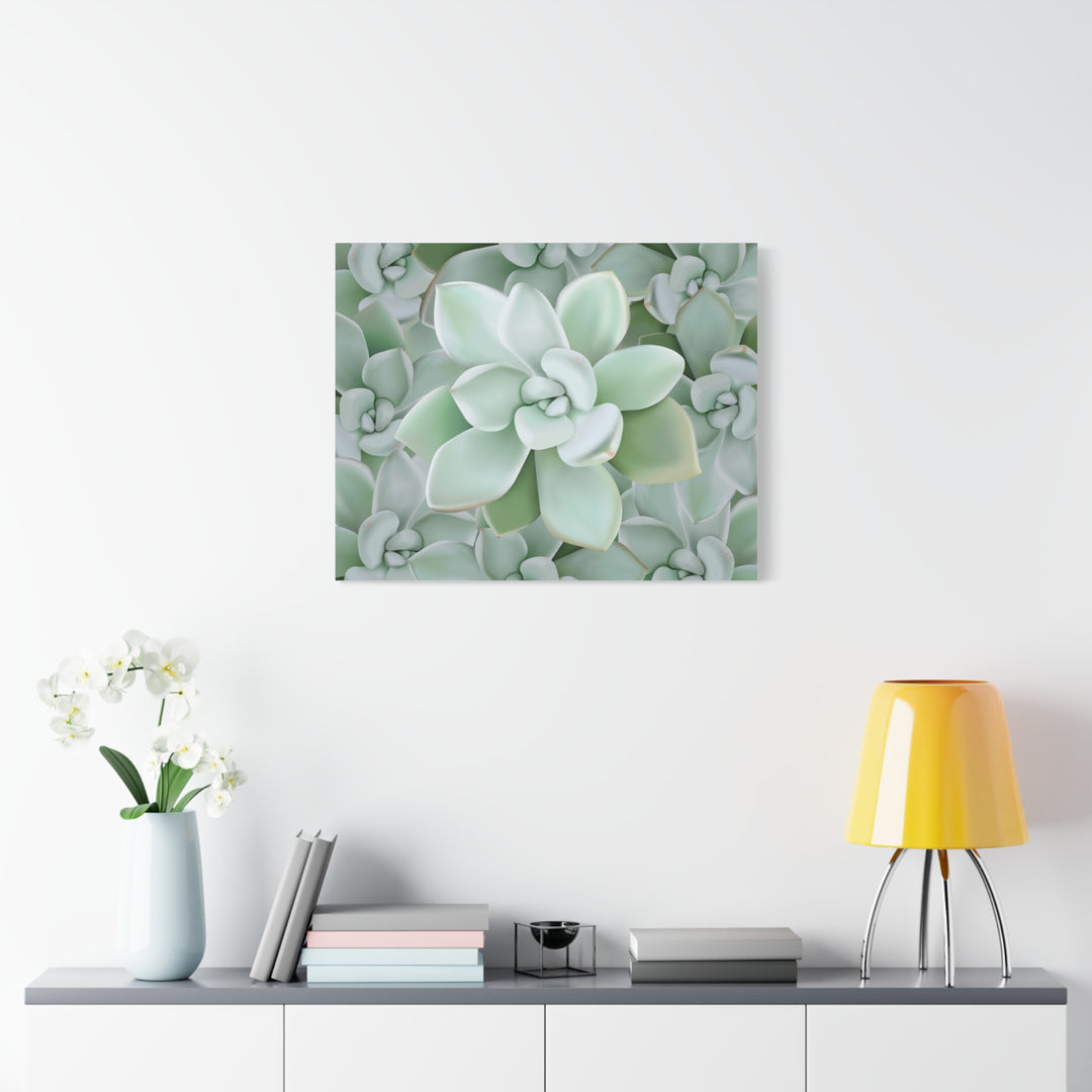 Pachyveria Haagei Succulent Pattern Canvas Art for Modern Home Decor 16x20 Matte Print